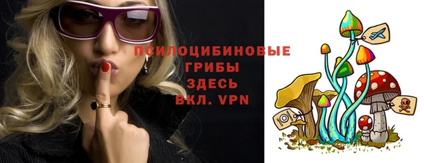 дмт Дмитров