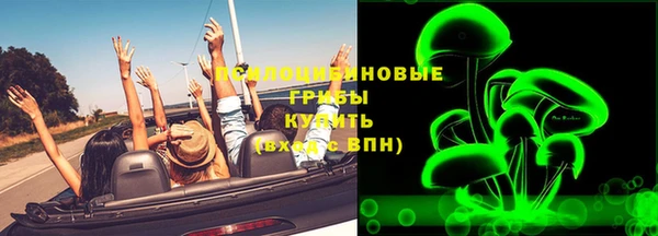 дмт Дмитров