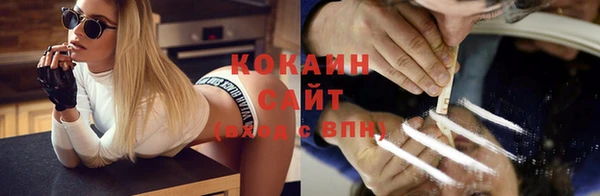 дмт Дмитров