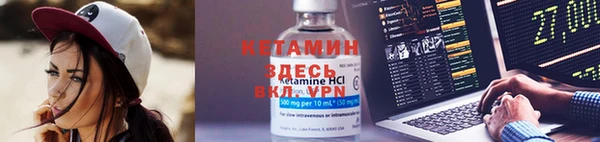 дмт Дмитров