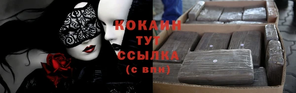 дмт Дмитров