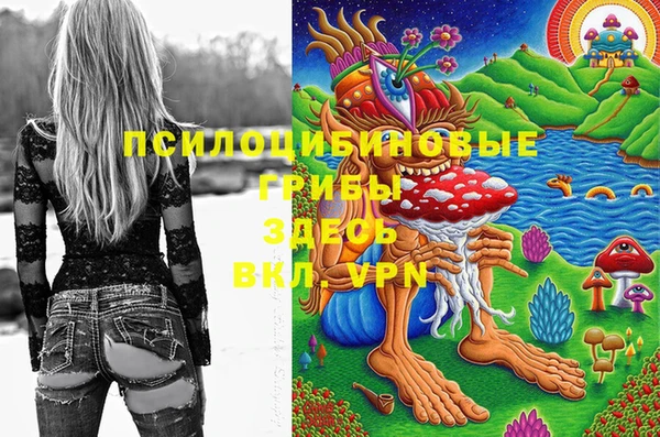 ГАЛЛЮЦИНОГЕННЫЕ ГРИБЫ Дмитровск