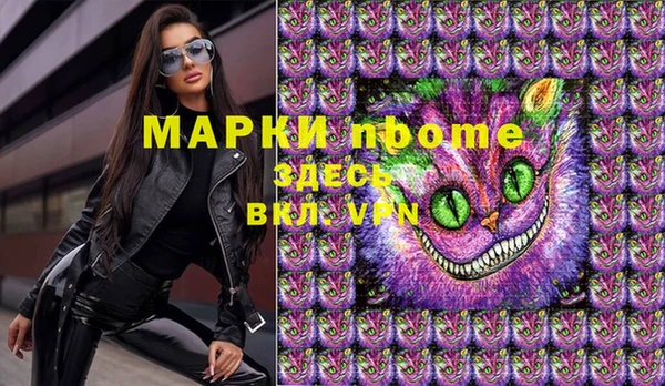 дмт Дмитров