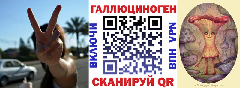 Псилоцибиновые грибы GOLDEN TEACHER Купить закладки Котельнич